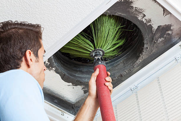 Best HVAC System Cleaning  in East Cleveland, TN